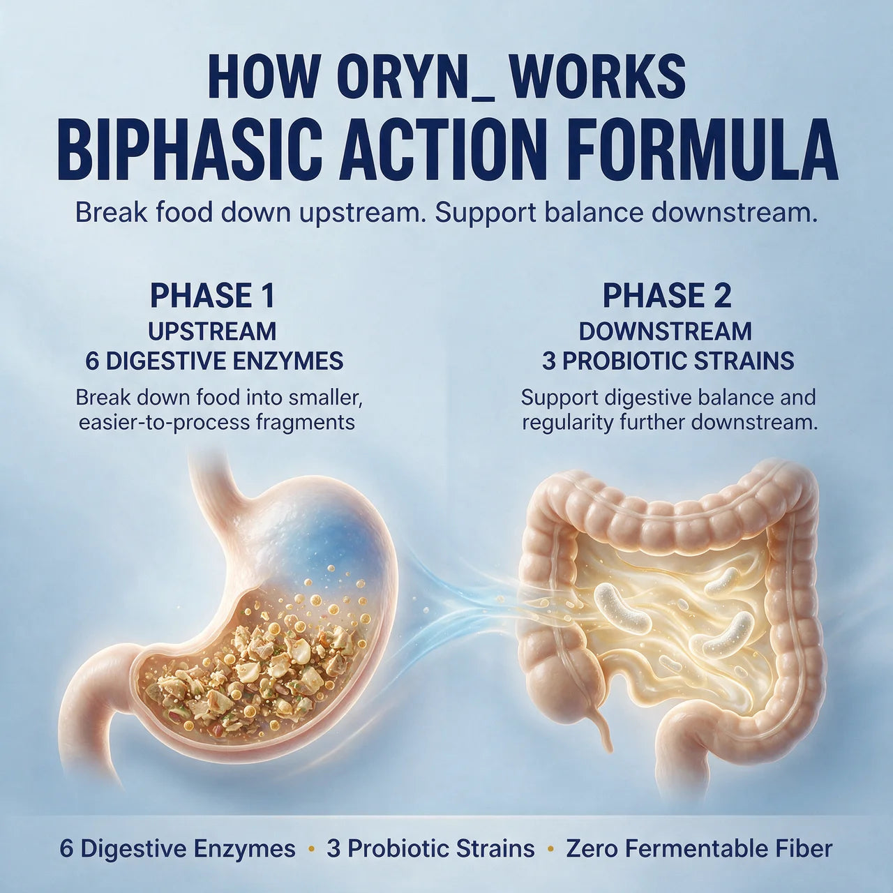 Gastric Enzyme Complex